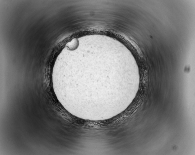 X0000103461015200810101145