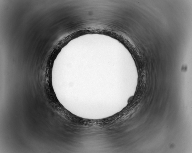 X0000103461016200810101145