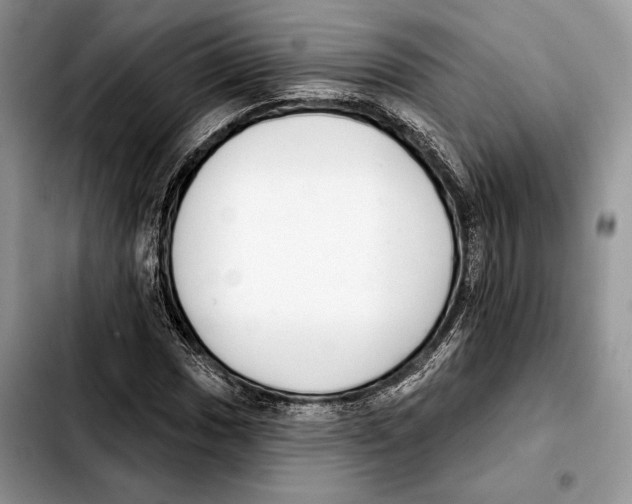 X0000103461017200810101145