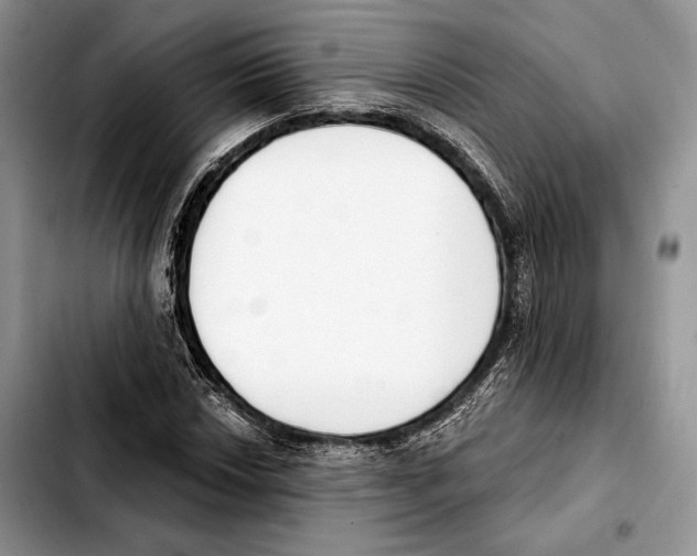 X0000103461018200810101145