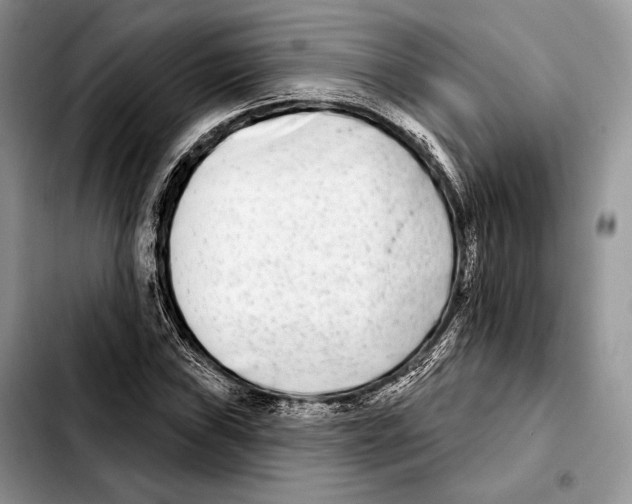 X0000103461019200810101145