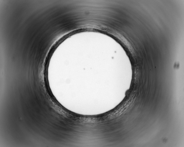 X0000103461020200810101145