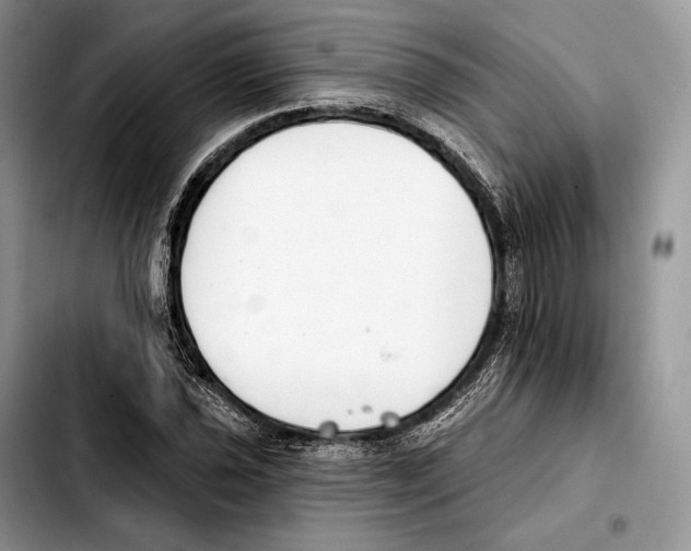 X0000103461021200810101145