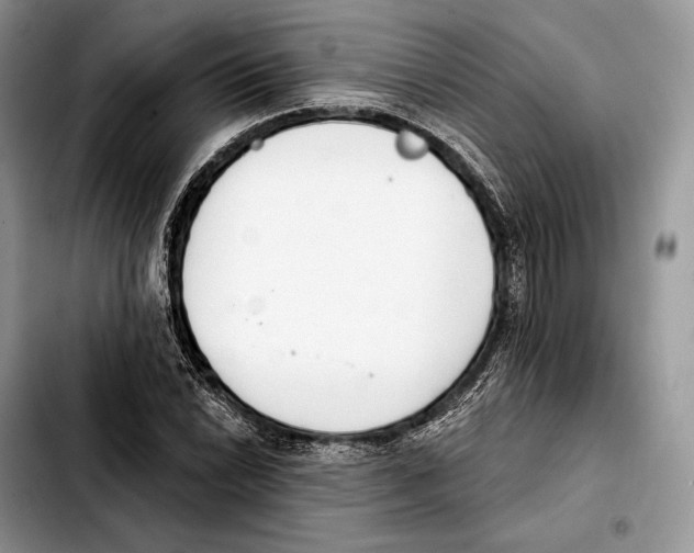X0000103461022200810101145