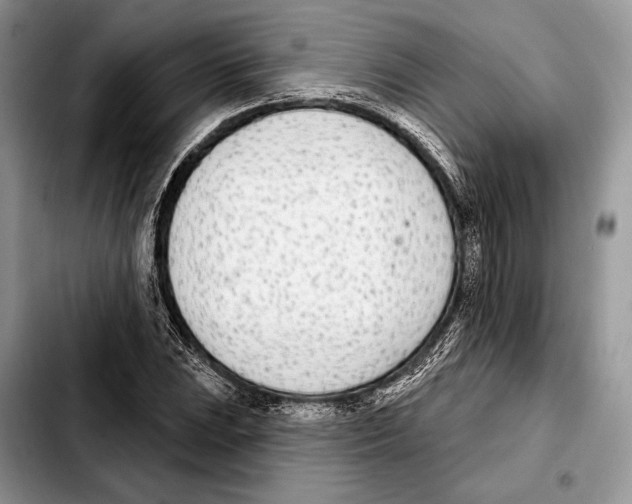X0000103461023200810101145
