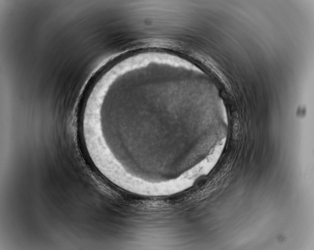 X0000103461024200810101145
