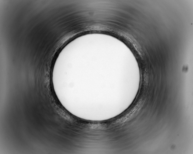X0000103461025200810101145