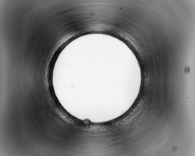 X0000103461026200810101145