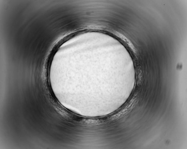 X0000103461027200810101145