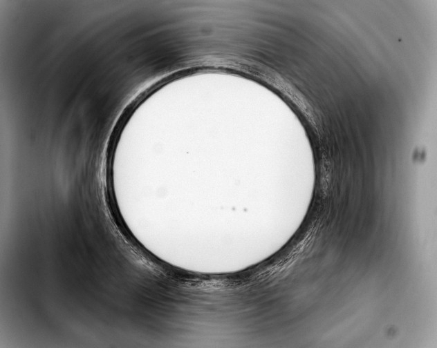 X0000103461028200810101145
