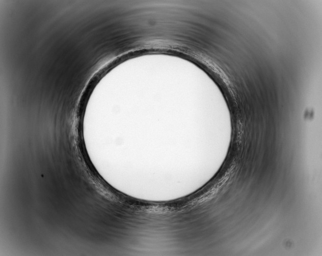 X0000103461029200810101145
