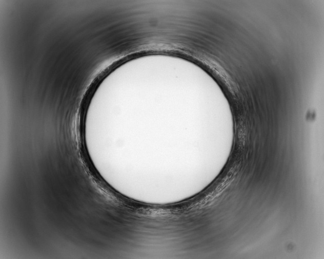 X0000103461030200810101145