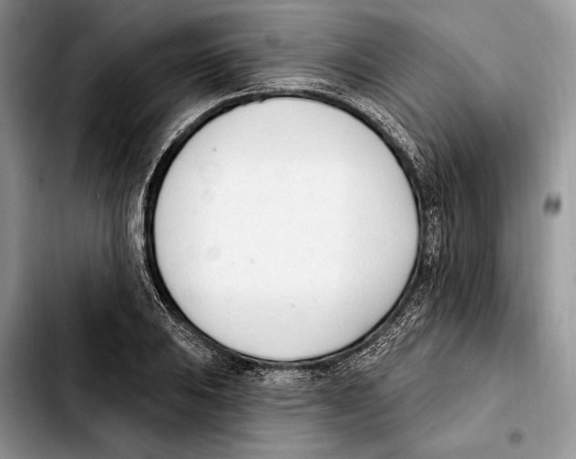 X0000103461031200810101145