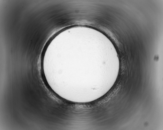 X0000103461032200810101145