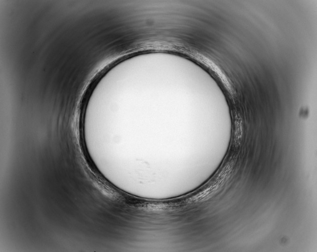 X0000103461035200810101146