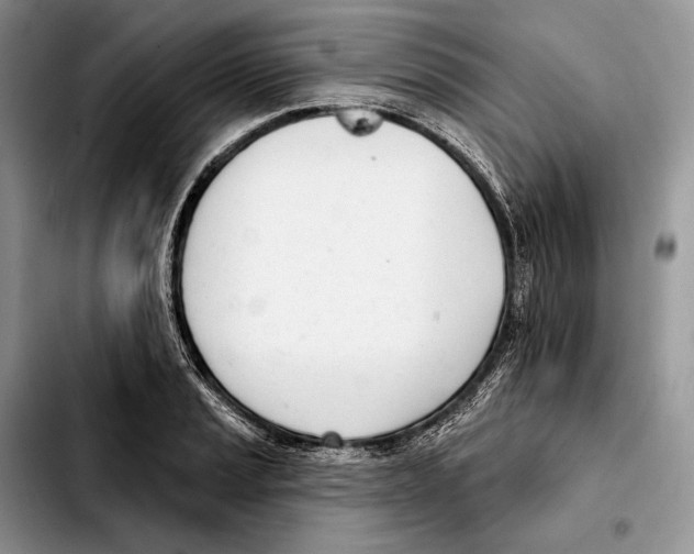 X0000103461037200810101146