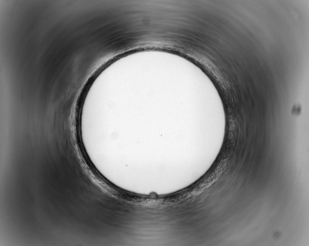X0000103461038200810101146