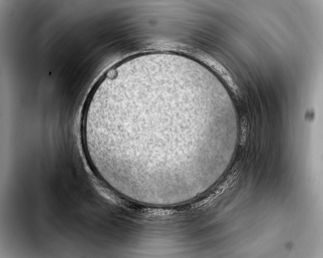 X0000103461039200810101146