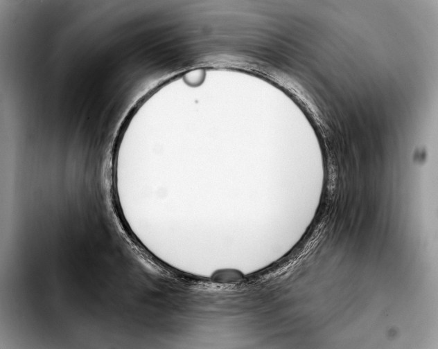 X0000103461040200810101146