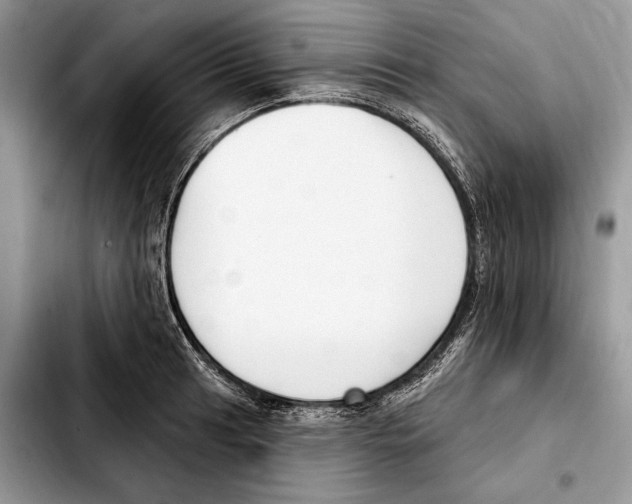X0000103461041200810101146