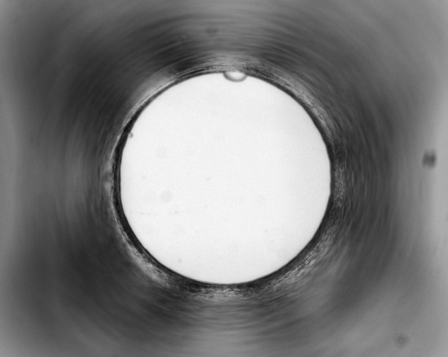 X0000103461042200810101146