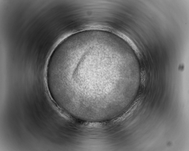 X0000103461043200810101146