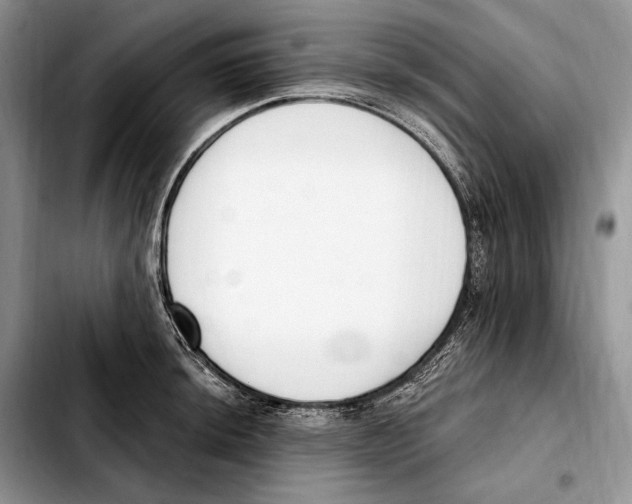 X0000103461044200810101146