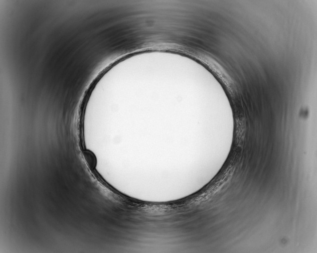 X0000103461046200810101146