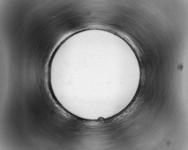 X0000103461048200810101146