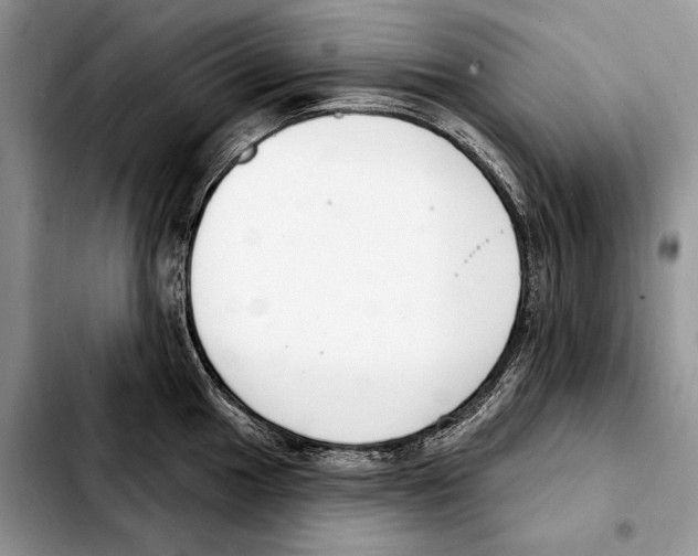 X0000103461049200810101146