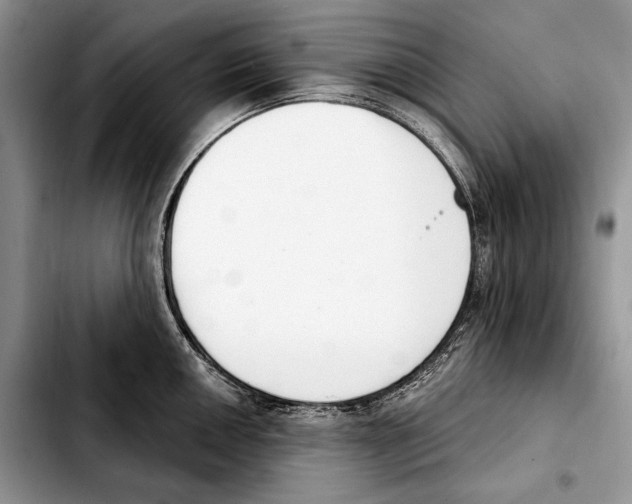 X0000103461050200810101146