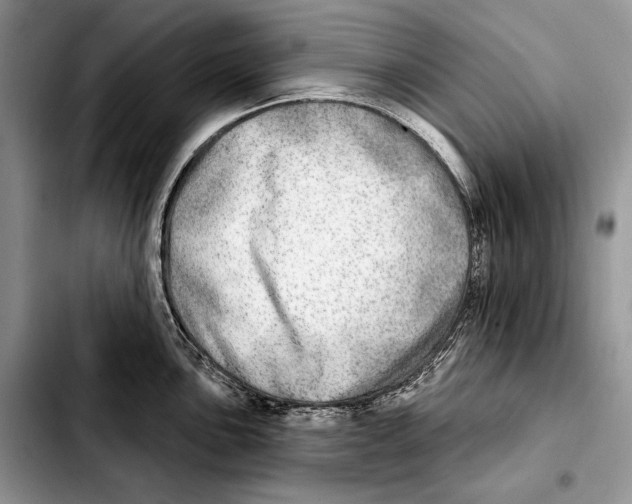 X0000103461051200810101146