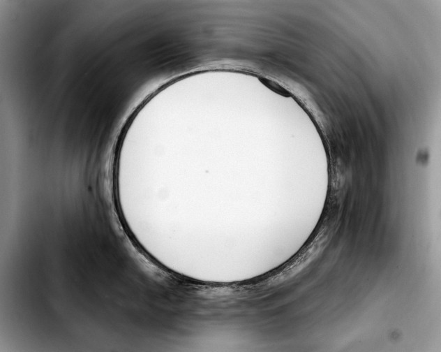 X0000103461054200810101146