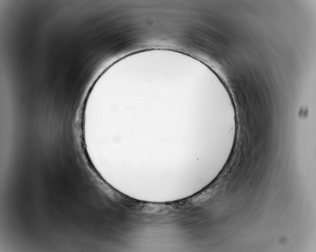 X0000103461056200810101146