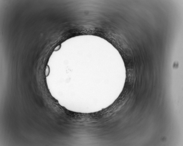 X0000103461057200810101145
