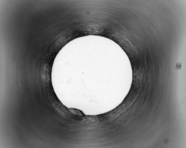 X0000103461058200810101145