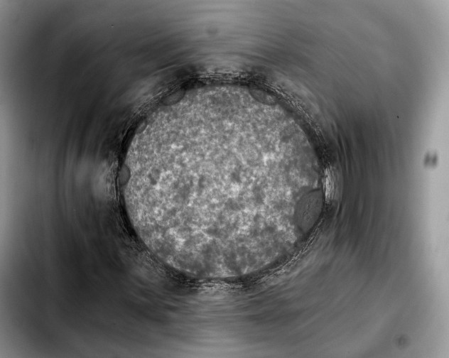 X0000103461059200810101145
