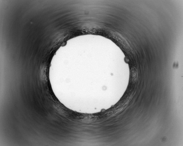 X0000103461060200810101145