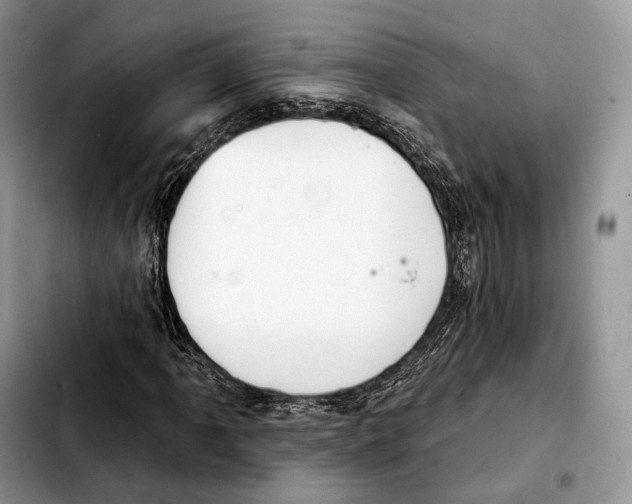 X0000103461061200810101145