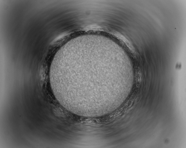 X0000103461063200810101145