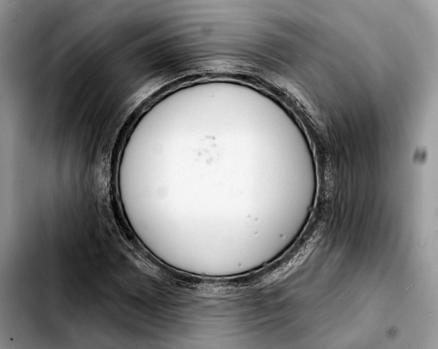 X0000103461065200810101145