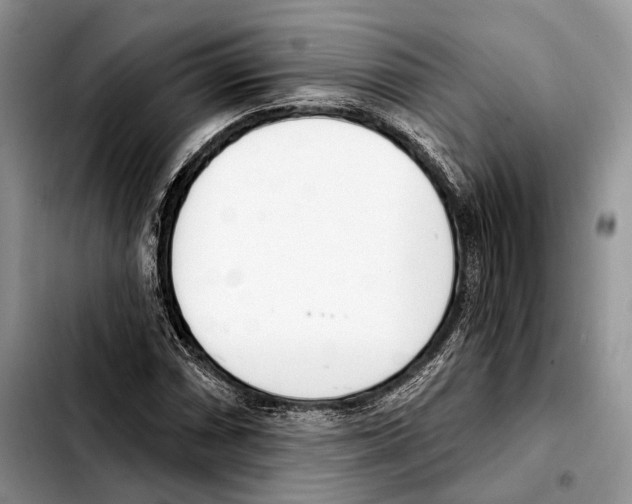 X0000103461066200810101145