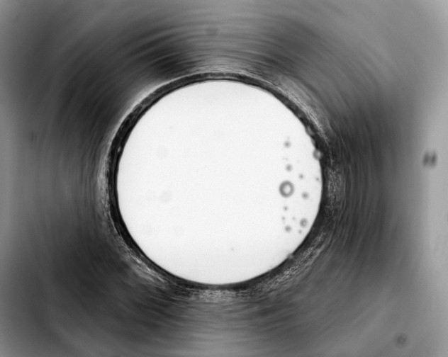 X0000103461068200810101145