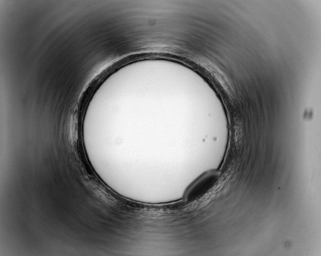 X0000103461069200810101145