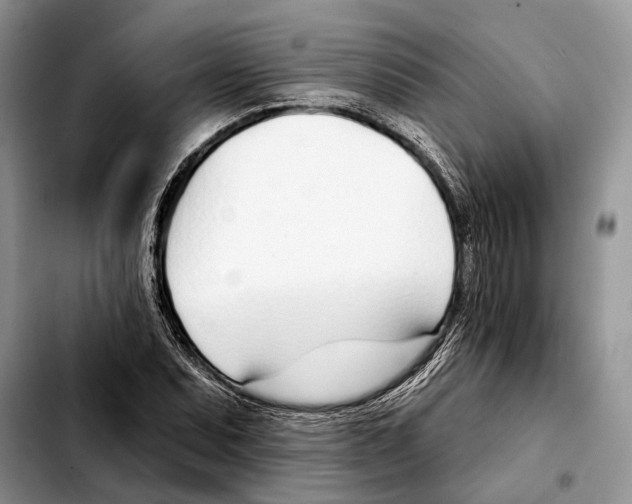 X0000103461071200810101145