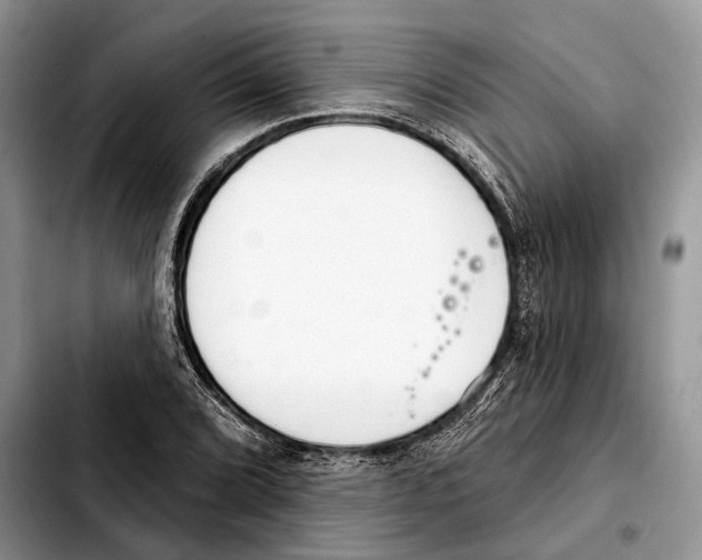 X0000103461072200810101145