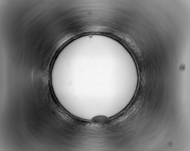 X0000103461073200810101145