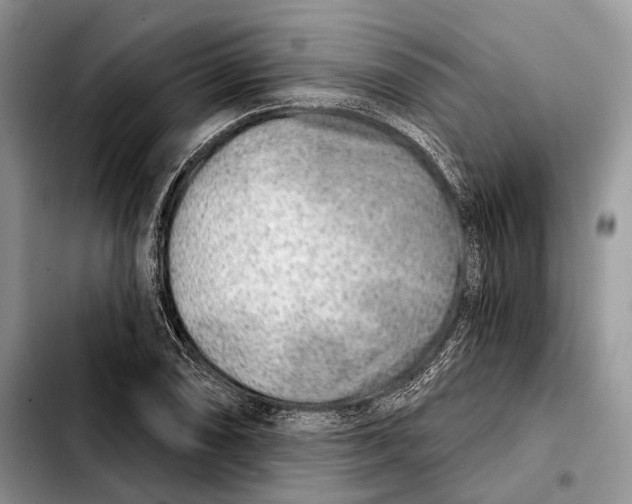 X0000103461074200810101145