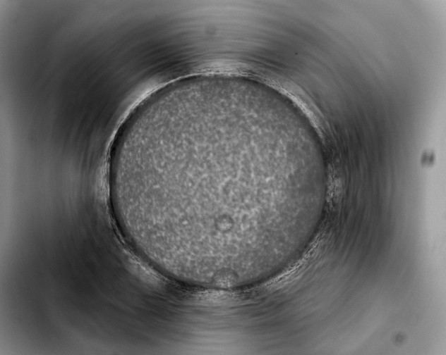 X0000103461075200810101145