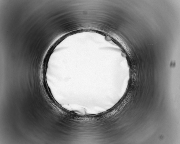 X0000103461076200810101145